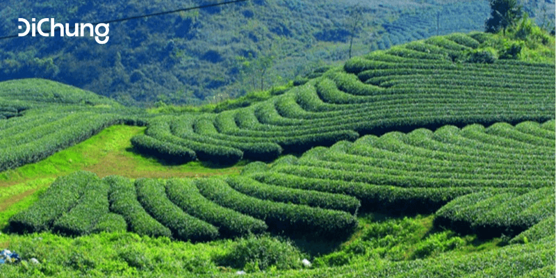 Tổng hợp xe Mỹ Đình Thái Nguyên mới nhất