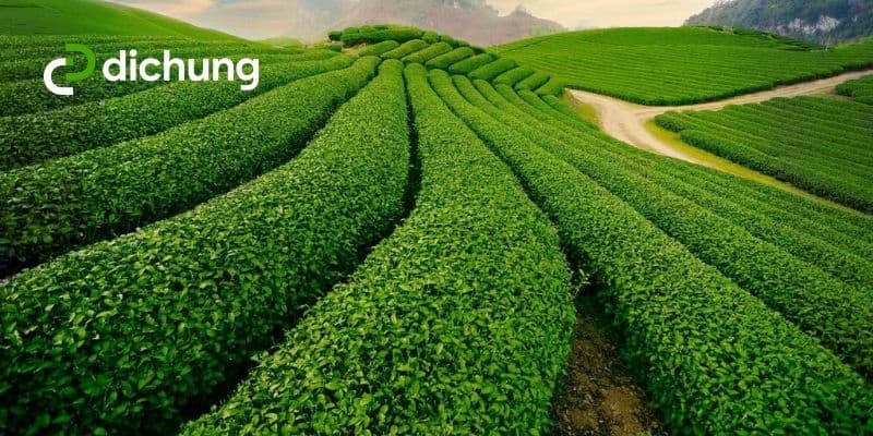 Kinh nghiệm vận chuyển hàng Hà Nội Thái Nguyên từ A-Z