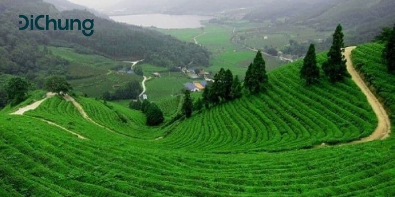 Danh sách xe khách Hà Nội Thái Nguyên kèm lộ trình